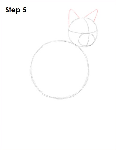Maine Coon Cat Drawing 5 Draw Maine Coon Cat 5