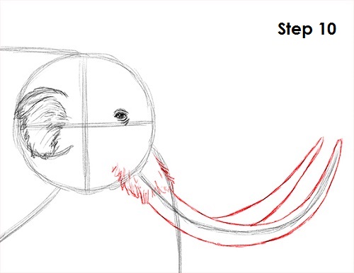 Draw a Mammoth 10