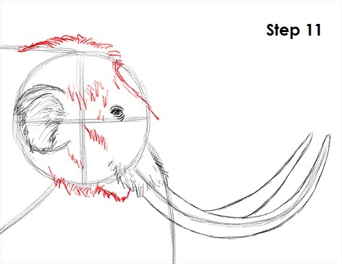 Draw a Mammoth 11