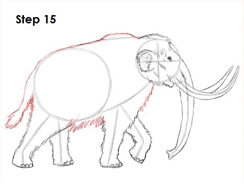 Mammoth Drawing 15 Draw a Mammoth 15