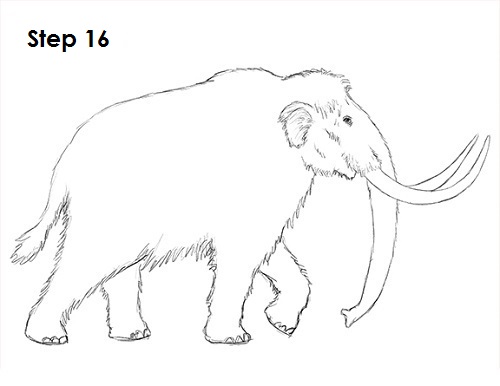 Mammoth Drawing 16 Draw a Mammoth 16