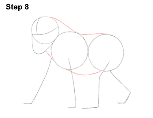 How to Draw Male Mandrill Baboon Monkey Walking 8