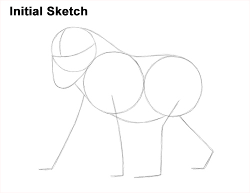 How to Draw Male Mandrill Baboon Monkey Walking Guide Lines