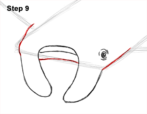 How to Draw Giant Oceanic Manta Ray 9