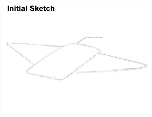How to Draw Giant Oceanic Manta Ray Guide Lines