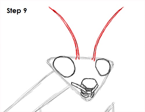 Draw Praying Mantis 9