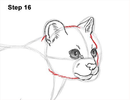 Draw a Margay 16 How to Draw a Margay Wild Cat 16