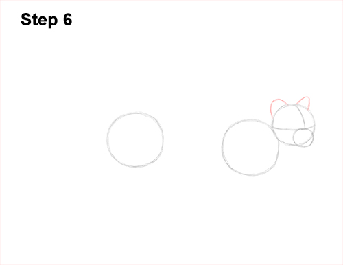 How to Draw a Margay Wild Cat 6