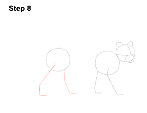 How to Draw a Margay Wild Cat 8
