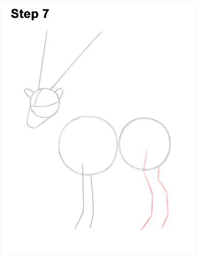 Draw a Bukharan Markhor 7 How to Draw a Bukharan Markhor Male Side View 7