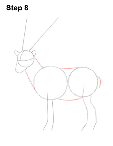 Draw a Bukharan Markhor 8 How to Draw a Bukharan Markhor Male Side View 8