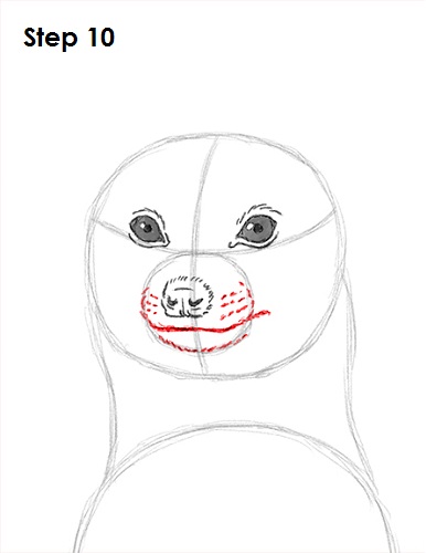 Draw Meerkat 10