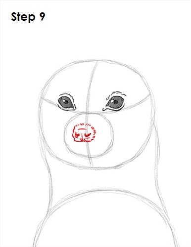 Draw Meerkat 9