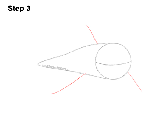 How to Draw a Megalodon Shark Open Mouth 3