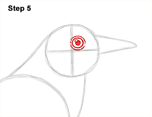 Draw a Mockingbird 5 How to Draw a Northern Mockingbird Bird on Branch Side View 5