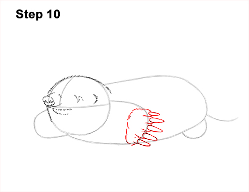 How to Draw a Common European Mole Side 10