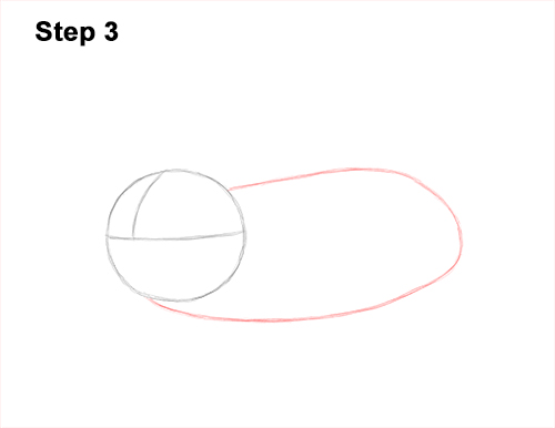Draw a European Mole 3 How to Draw a Common European Mole Side 3