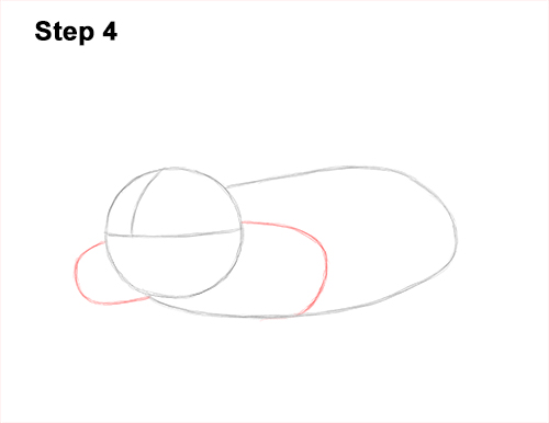 Draw a European Mole 4 How to Draw a Common European Mole Side 4
