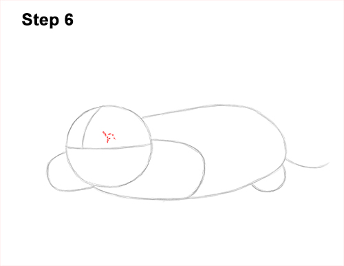 How to Draw a Common European Mole Side 6