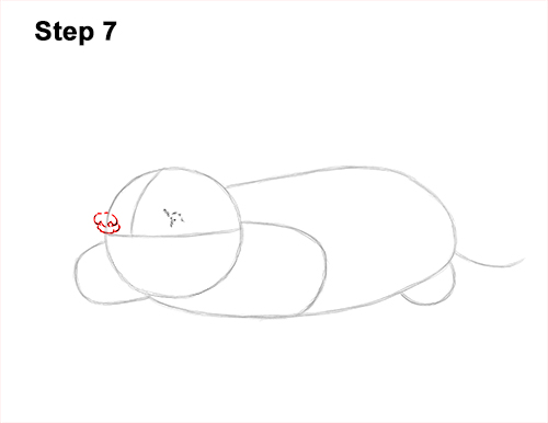 How to Draw a Common European Mole Side 7