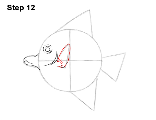 Draw Moorish Idol Fish 12 How to Draw Moorish Idol Fish 12