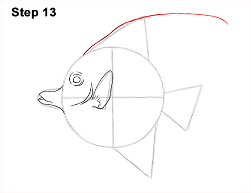 Draw Moorish Idol Fish 13 How to Draw Moorish Idol Fish 13