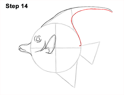 Draw Moorish Idol Fish 14 How to Draw Moorish Idol Fish 14