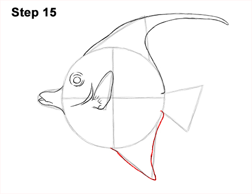 How to Draw Moorish Idol Fish 15
