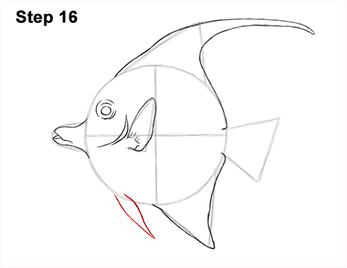 How to Draw Moorish Idol Fish 16