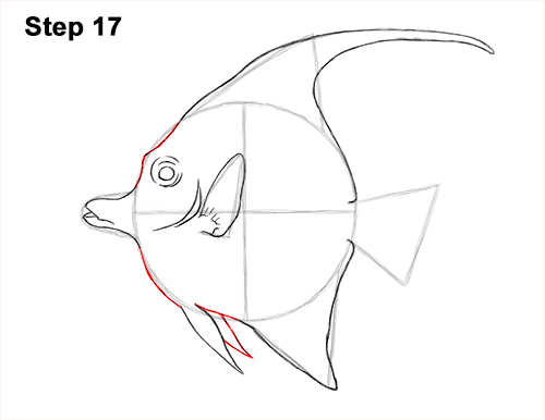 How to Draw Moorish Idol Fish 17