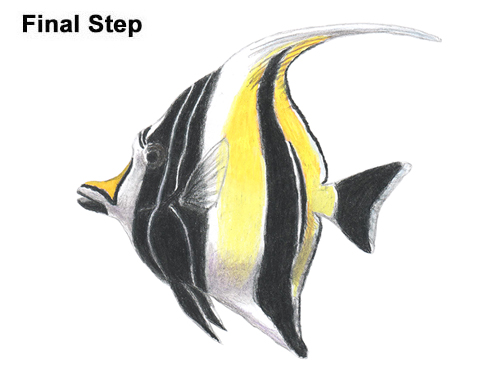 How to Draw Moorish Idol Fish