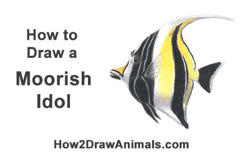 Draw Moorish Idol Fish How to Draw Moorish Idol Black Yellow Fish Nemo Gill