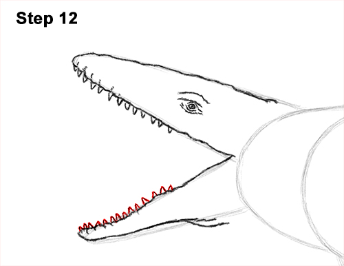 Draw Mosasaurus Dinosaur Jurassic 12