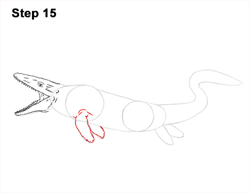 Draw Mosasaurus Dinosaur Jurassic 15