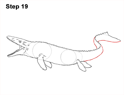 Draw Mosasaurus Dinosaur Jurassic 19