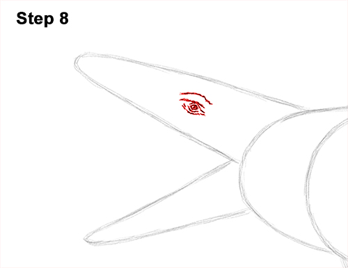 Draw Mosasaurus Dinosaur Jurassic 8