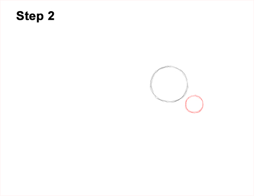 How to Draw a Mosquito Insect 2