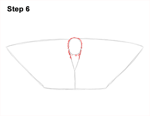 How to Draw an Emperor Moth Wings Insect 6
