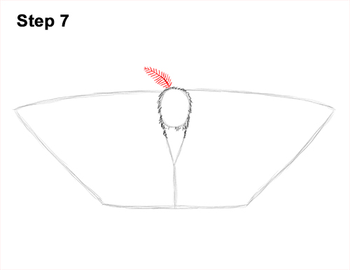How to Draw an Emperor Moth Wings Insect 7