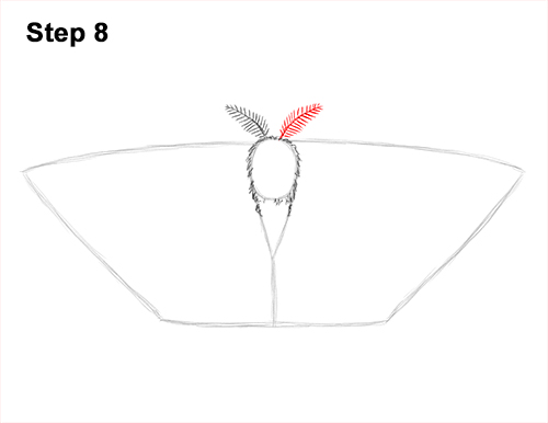 How to Draw an Emperor Moth Wings Insect 8