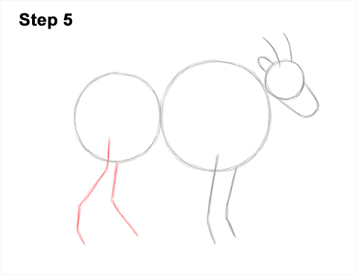 Draw a Mountain Goat 5 How to Draw a White Rocky Moutain Goat 5