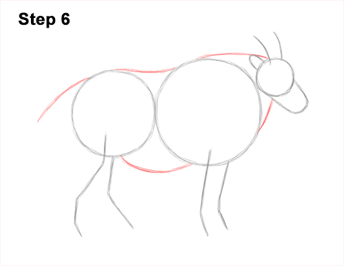 How to Draw a White Rocky Moutain Goat 6