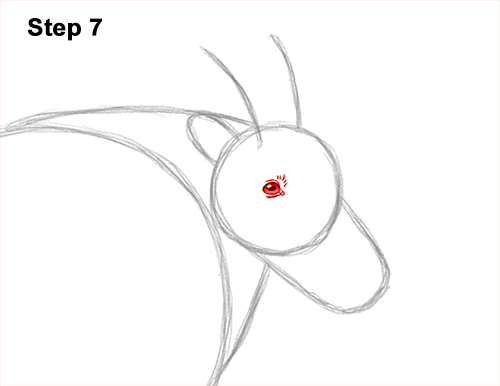 How to Draw a White Rocky Moutain Goat 7