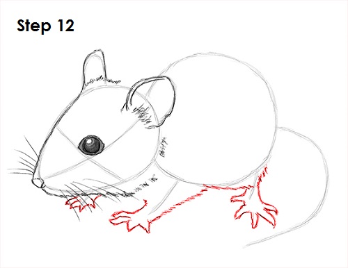 Draw Mouse 12