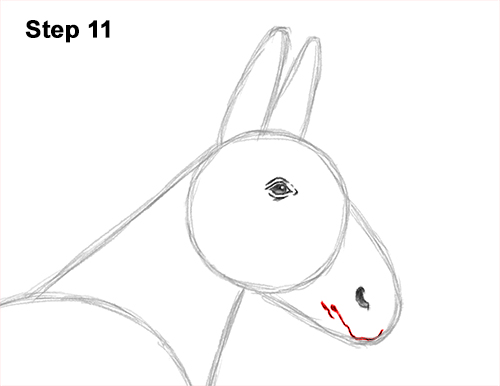 How to Draw a Mule Horse Donkey Side View 11
