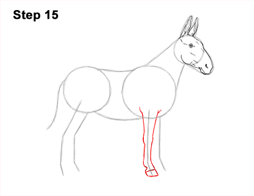 How to Draw a Mule Horse Donkey Side View 15