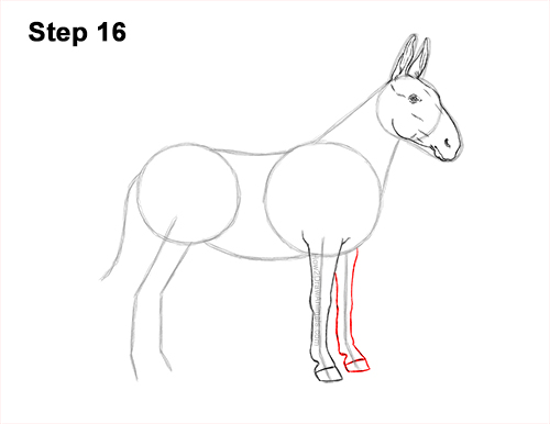 How to Draw a Mule Horse Donkey Side View 16