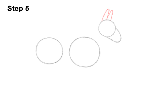 Draw a Mule Side View 5 How to Draw a Mule Horse Donkey Side View 5