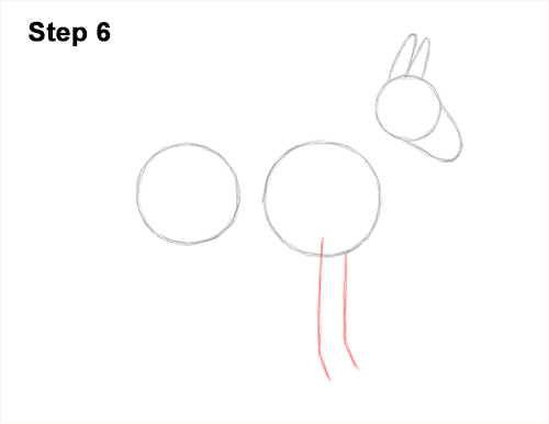 Draw a Mule Side View 6 How to Draw a Mule Horse Donkey Side View 6
