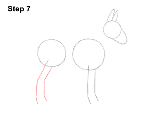 Draw a Mule Side View 7 How to Draw a Mule Horse Donkey Side View 7